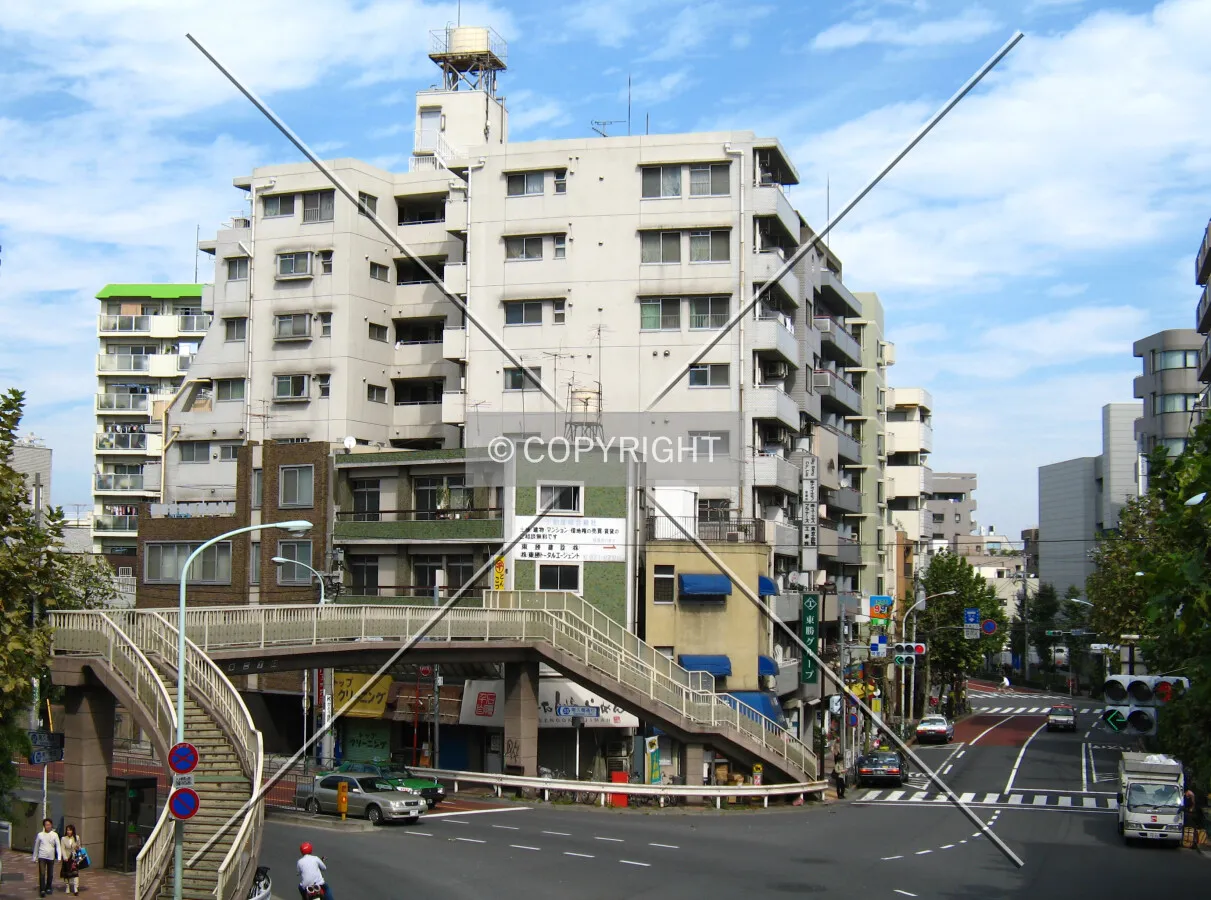 View from the south