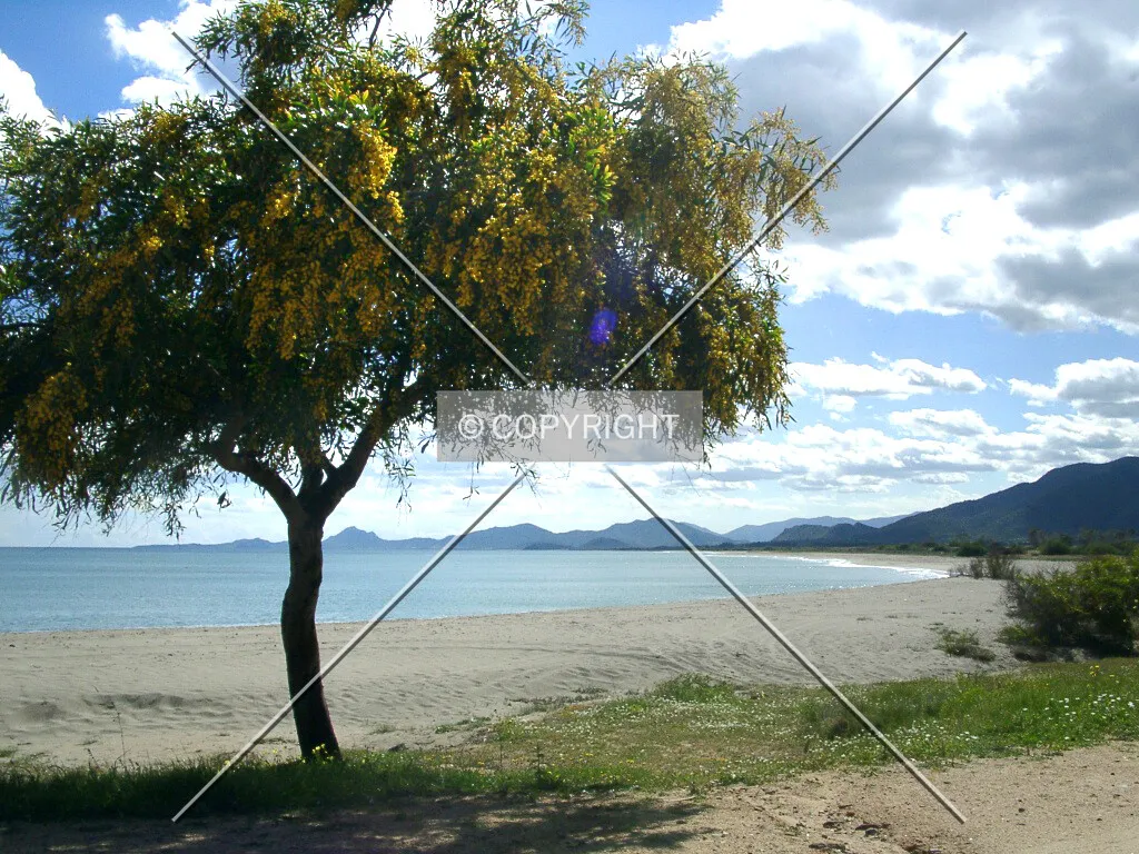 Photo 080-099-326