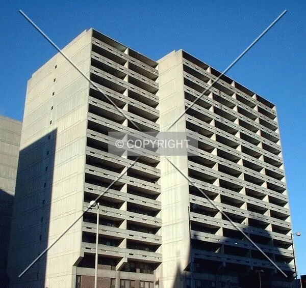 Photo 080-142-819