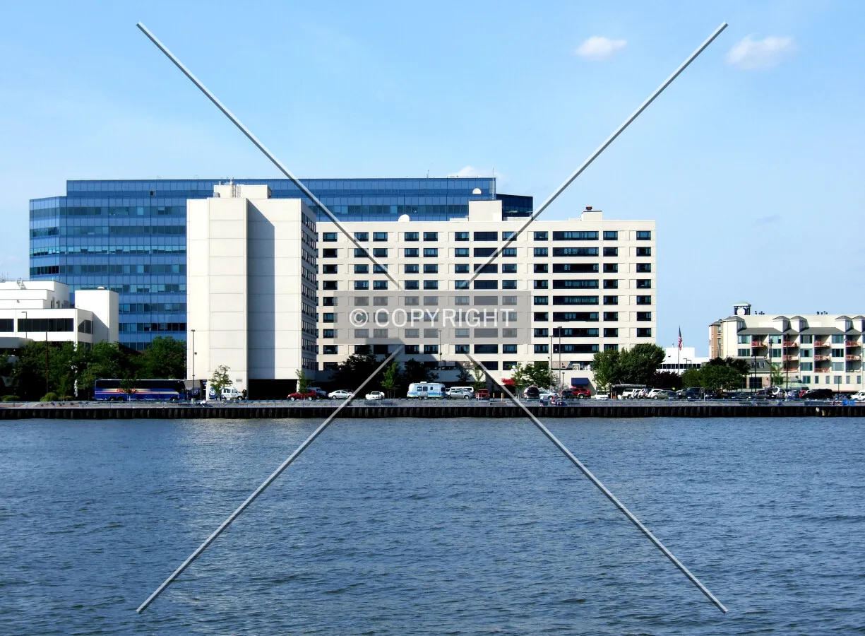View from the southwest