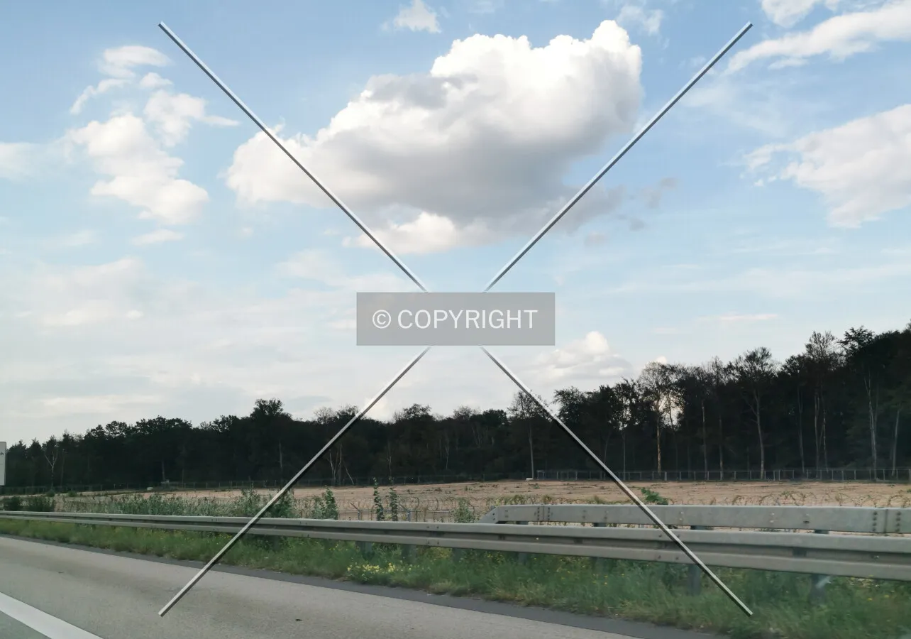 Photo 080-201-349