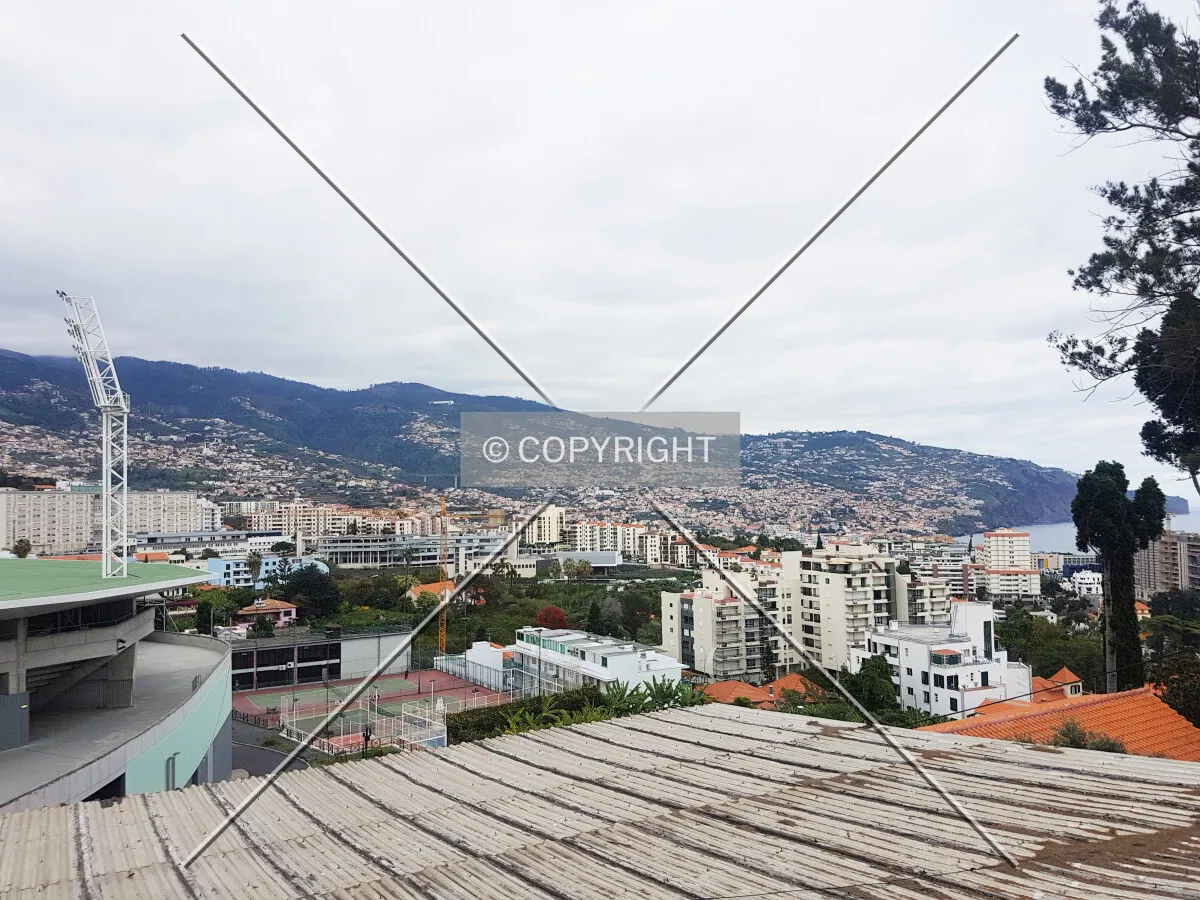 Looking over Funchal