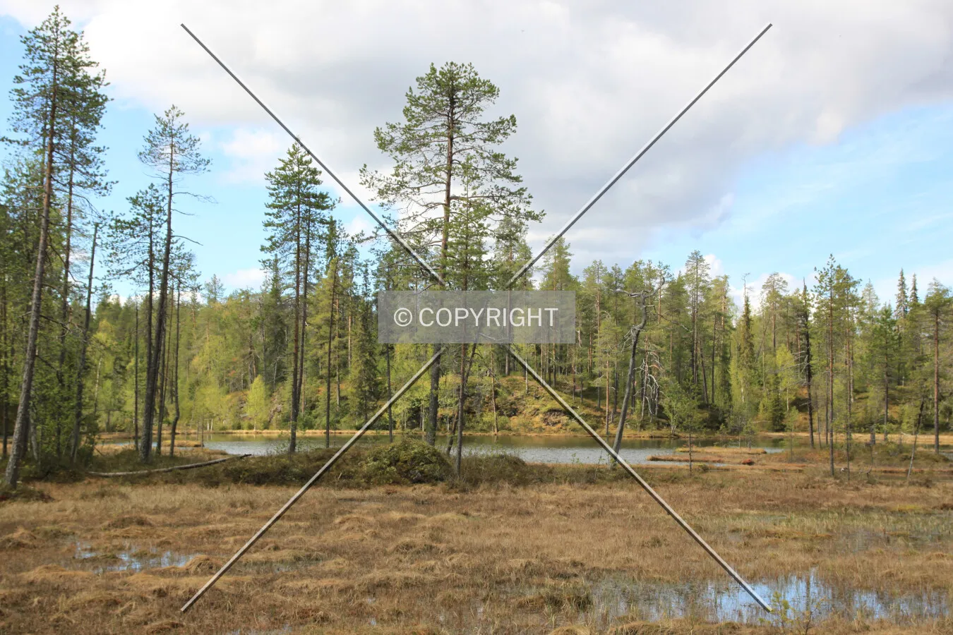 Oulanka National Park