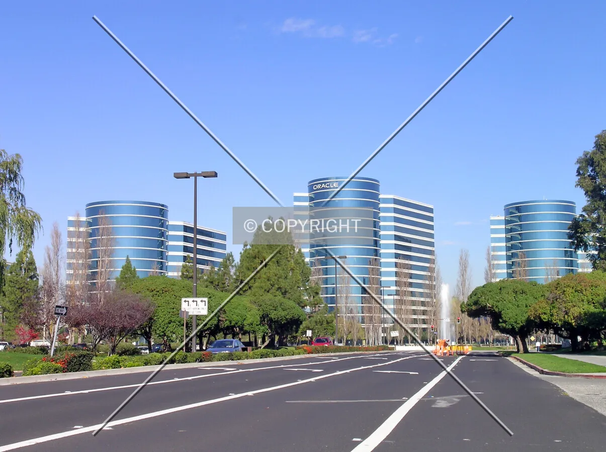 View from Twin Dolphin Drive