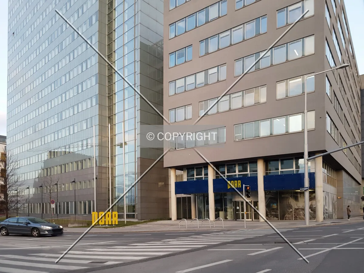 Photo 803-206-927