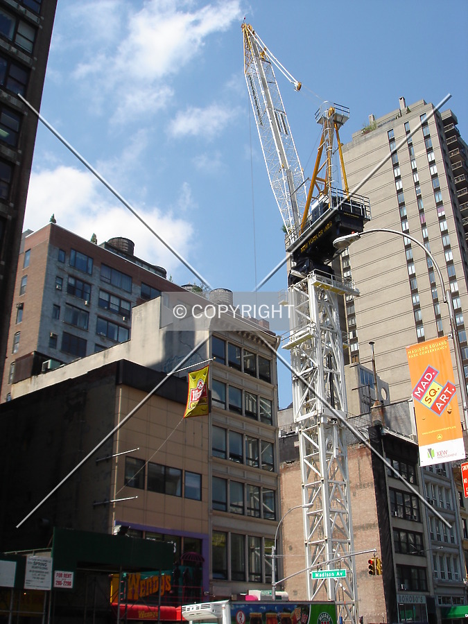 The Crane's finally here