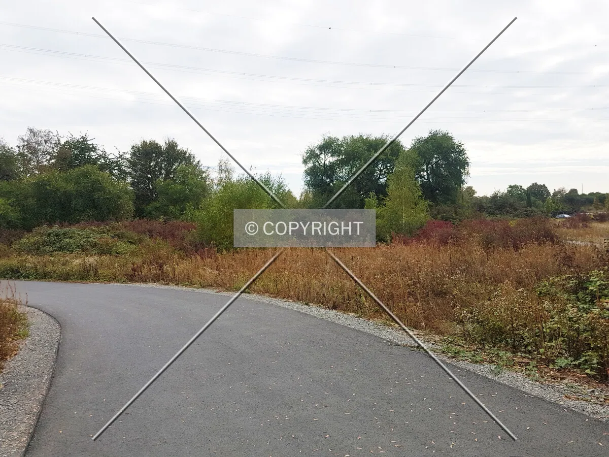 Photo 080-409-029