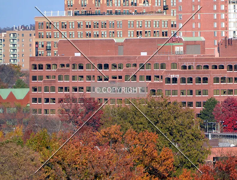 Photo 080-493-458