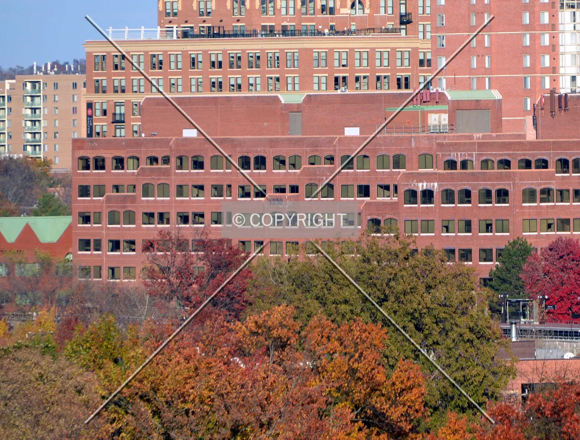 View from the southwest