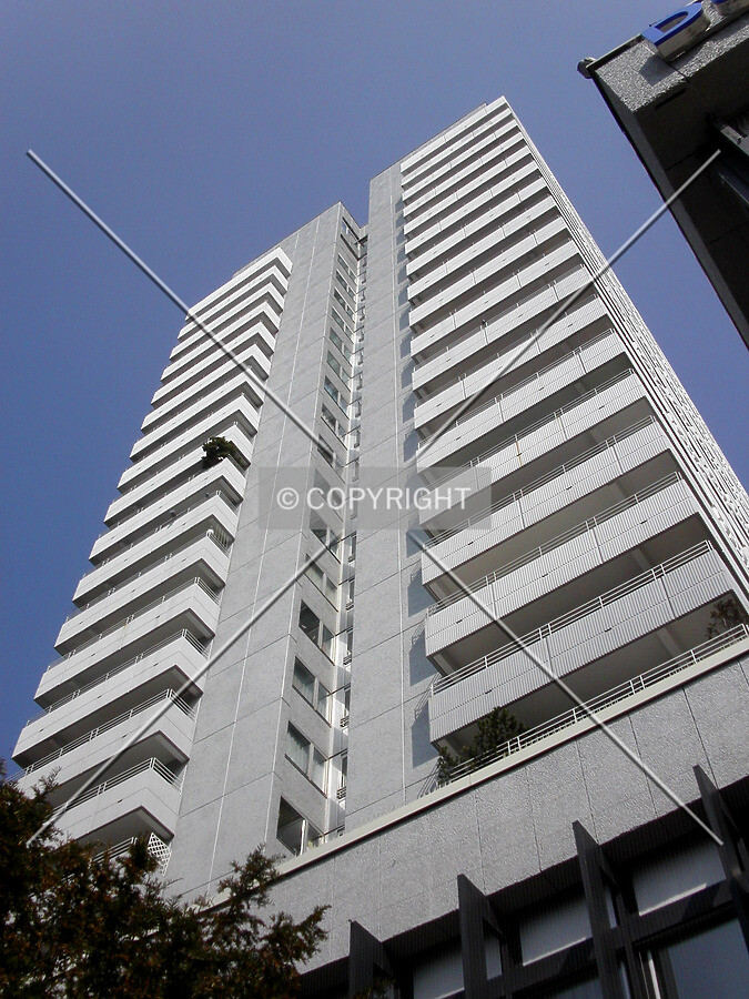 Looking up from the southern side