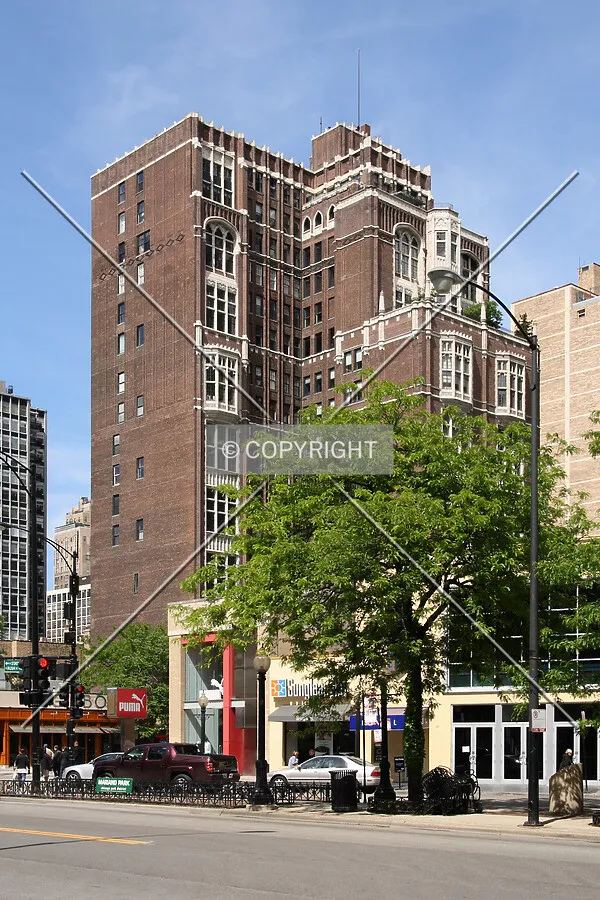 View from North State Street