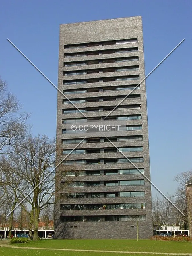 View from garden