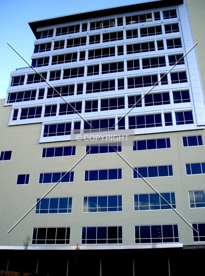 Looking up the western half of the south side from Hamilton Street