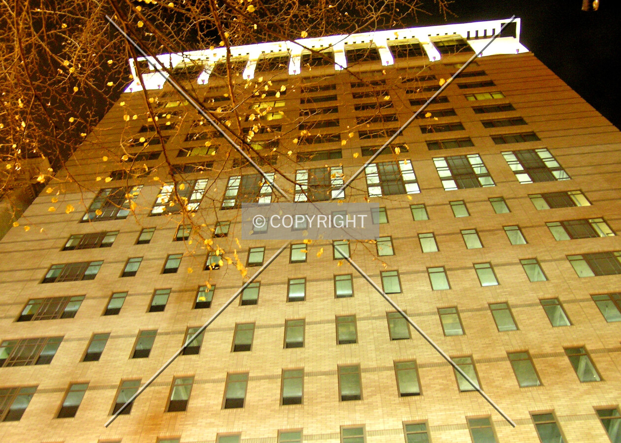 Eastern view at night