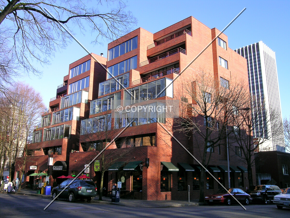Northeastern view