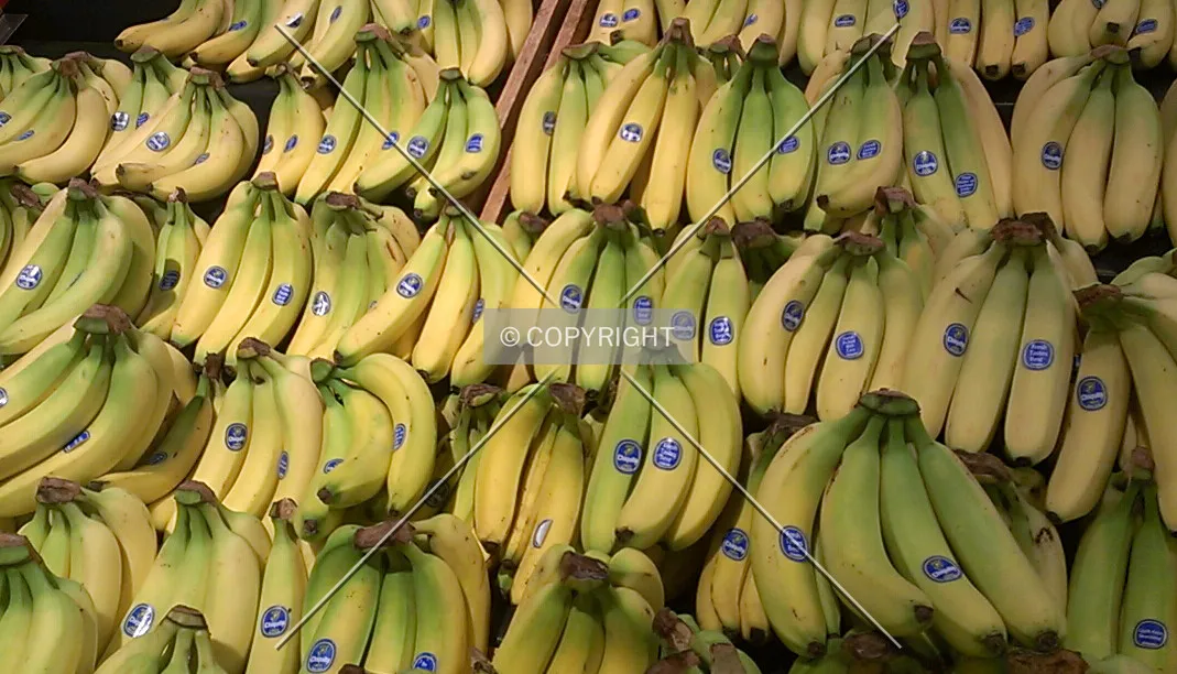 Bananas waiting to be purchased