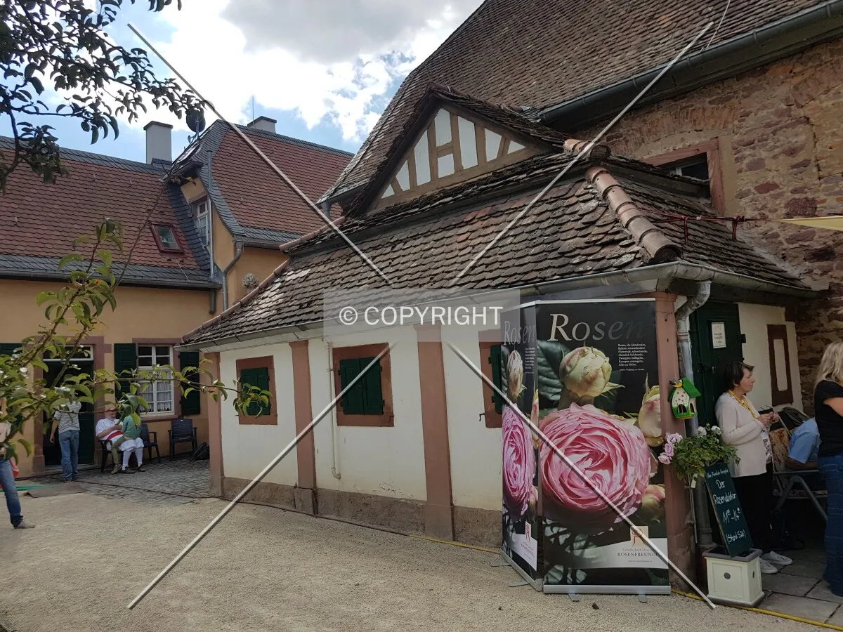 Schloß Wolfsgarten in 2018