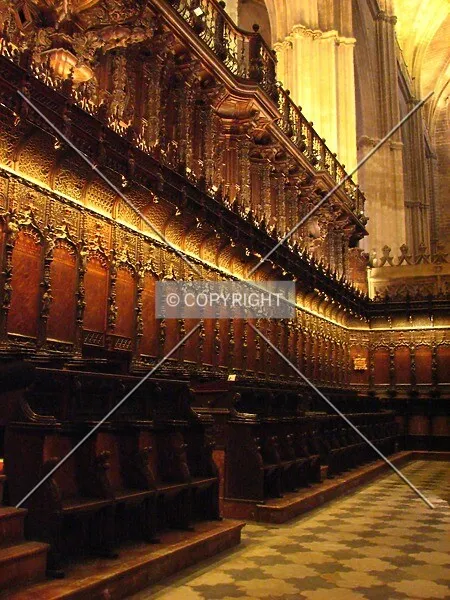 Photo 080-989-641
