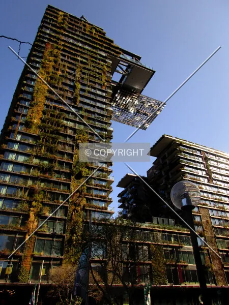 Photo 081-024-612