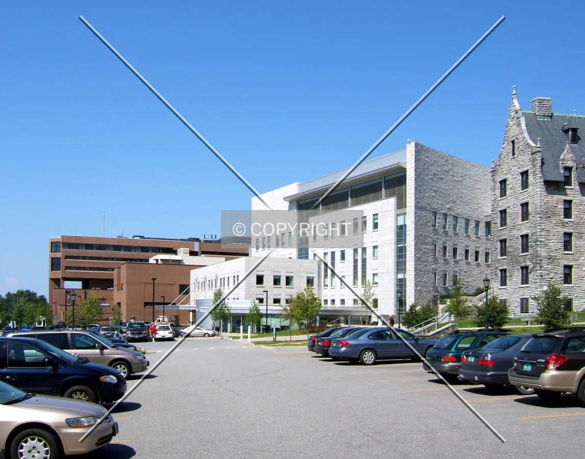 View from the south