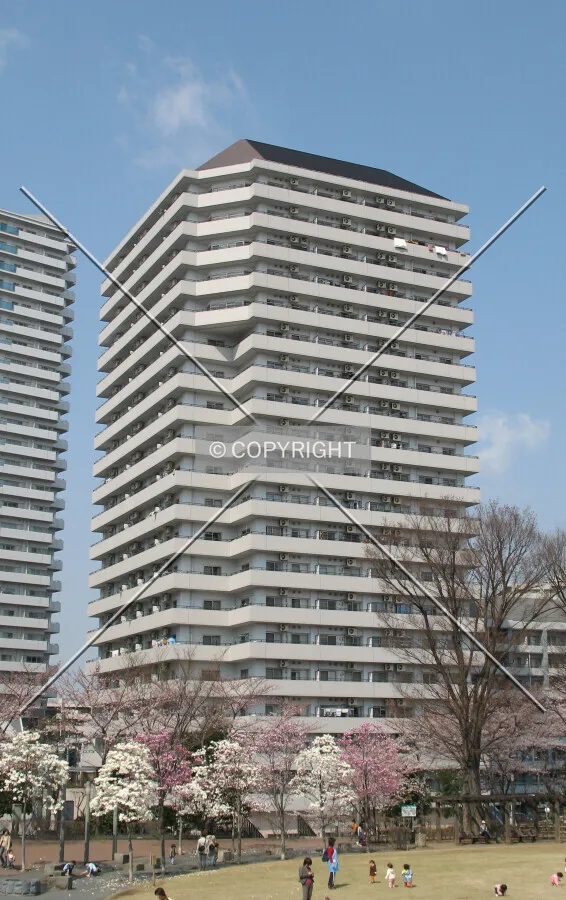View from the southeast