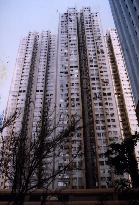 View from Harbour Road Garden