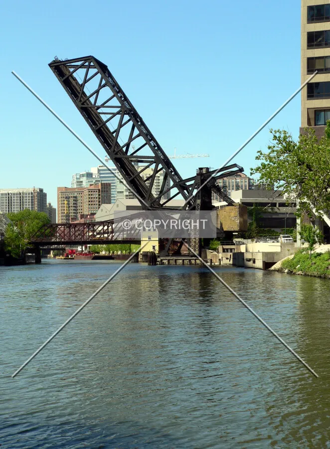 View to the north from the fork in the Chicago River