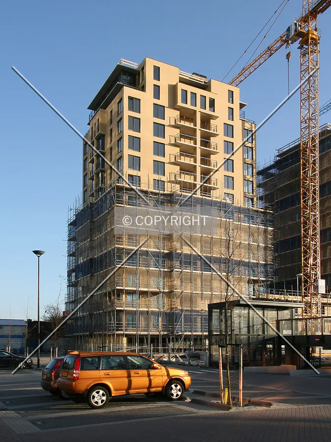 View from the north