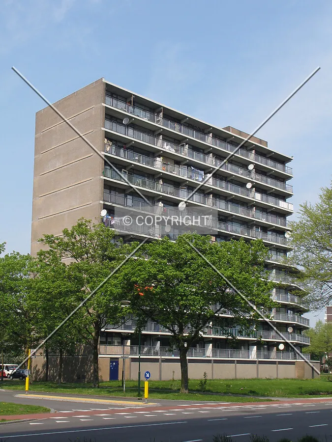 View from the southeast
