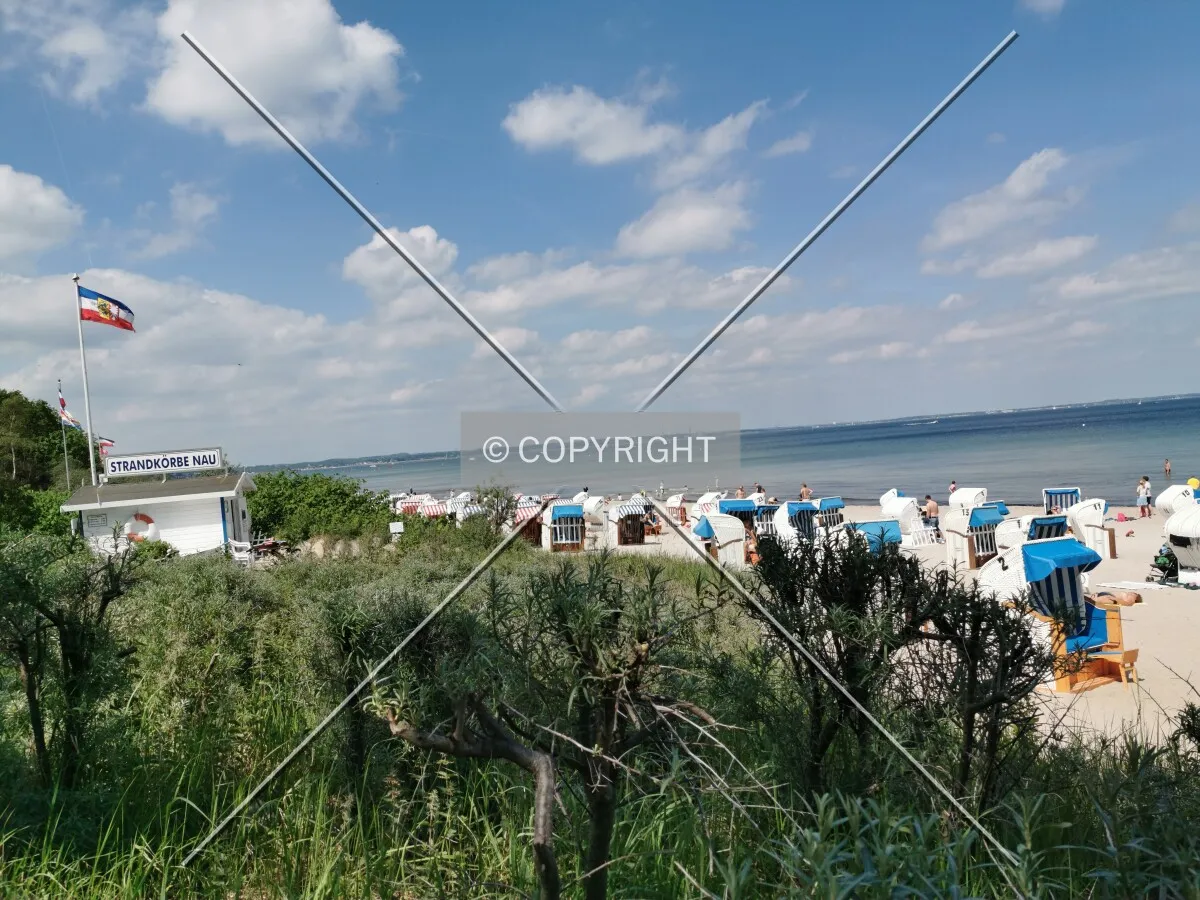 Photo 081-228-749