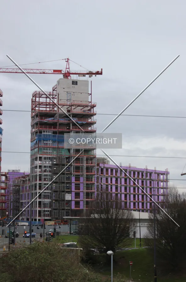 Photo 081-344-707