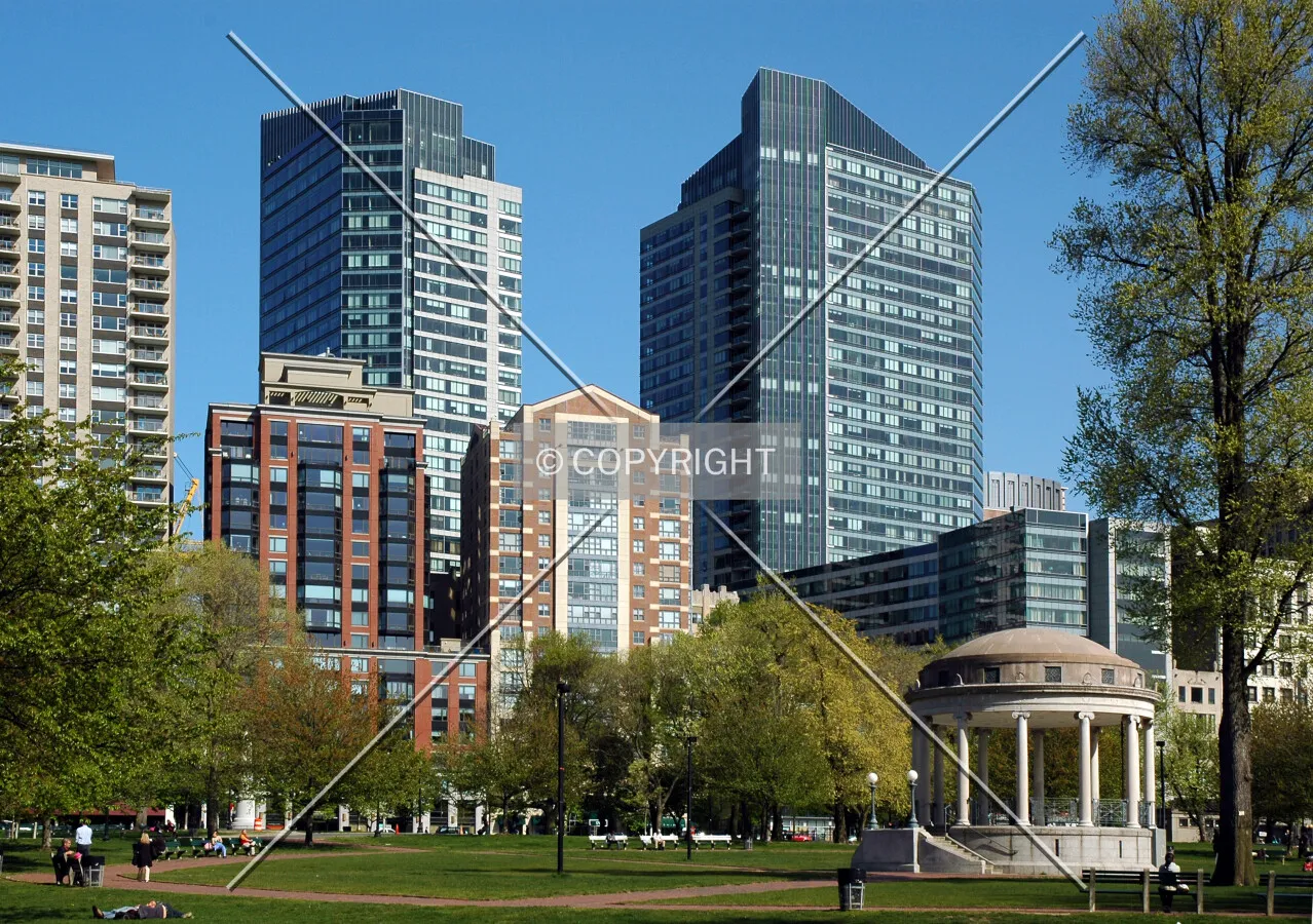 The towers seen from Boston Common