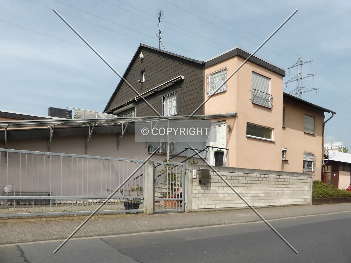 Photo 813-646-139