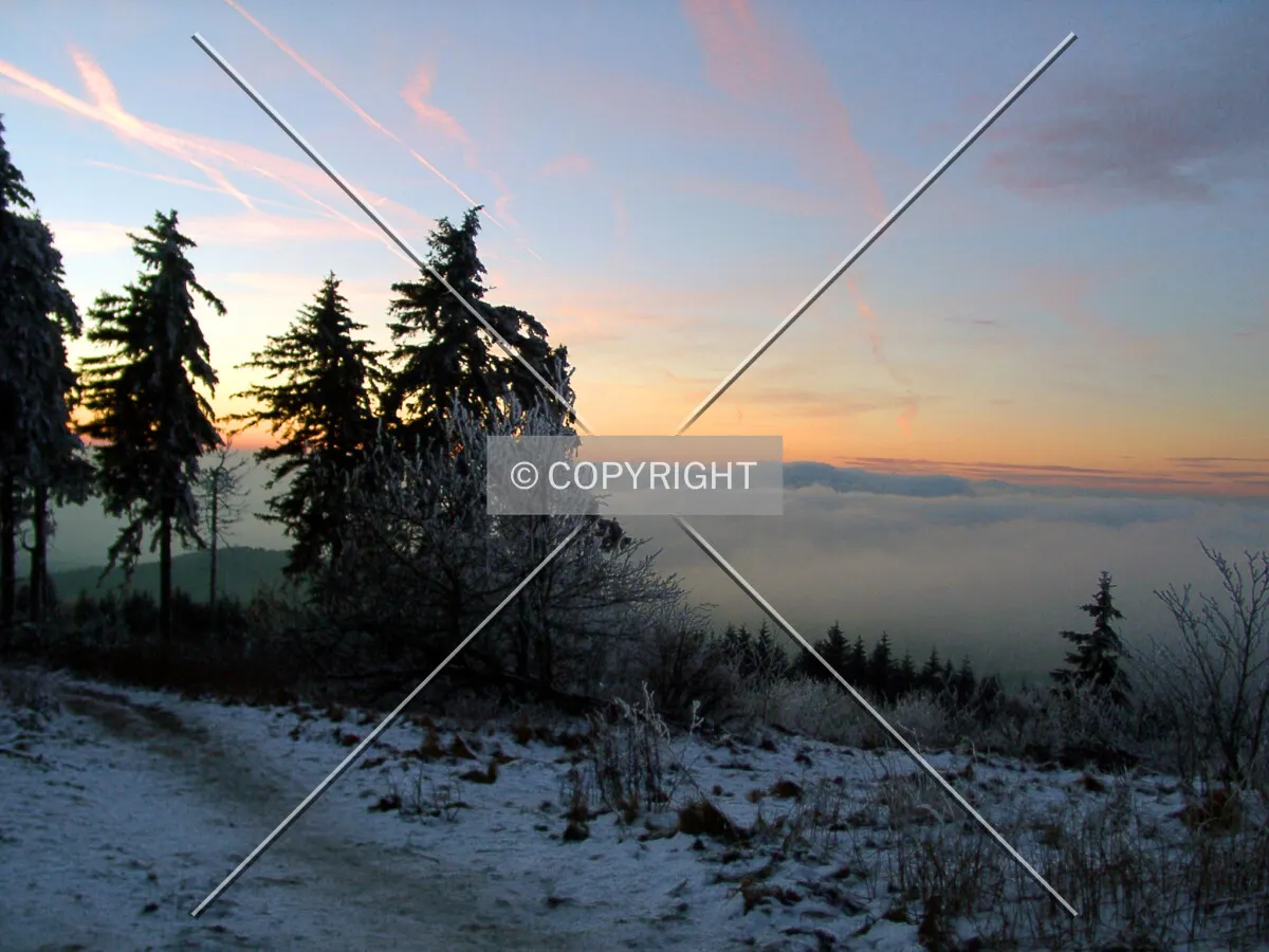 Großer Feldberg during sunset