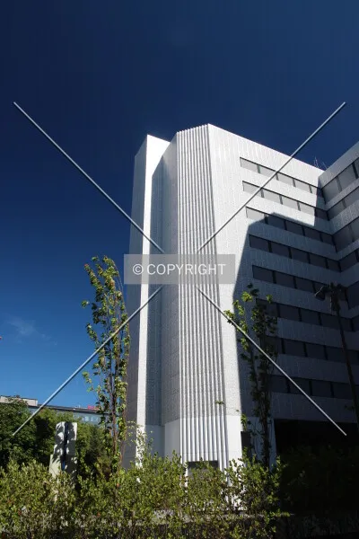 Photo 813-983-394