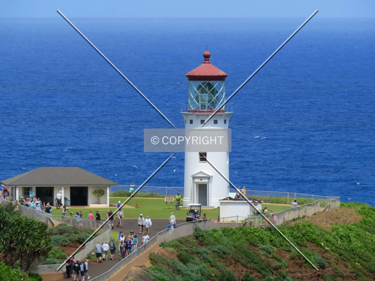 View from Kilauea Point Overlook