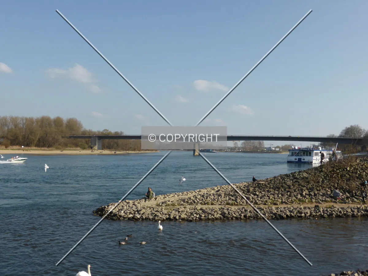 Photo 081-424-896