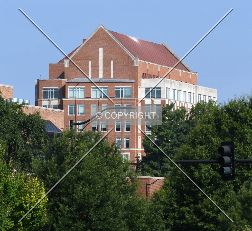 View from the southeast