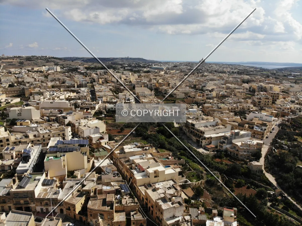 Photo 081-431-828