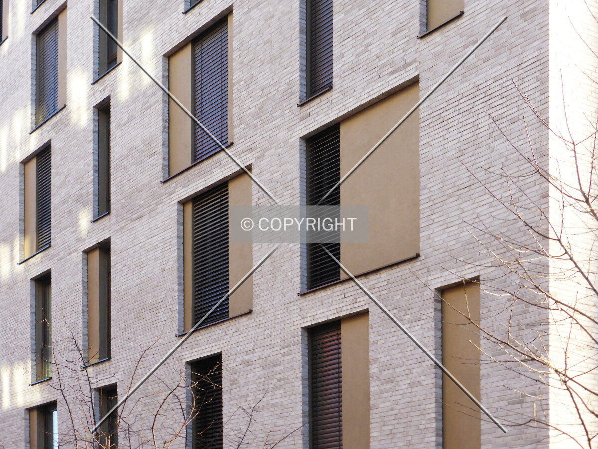 Photo 081-492-804