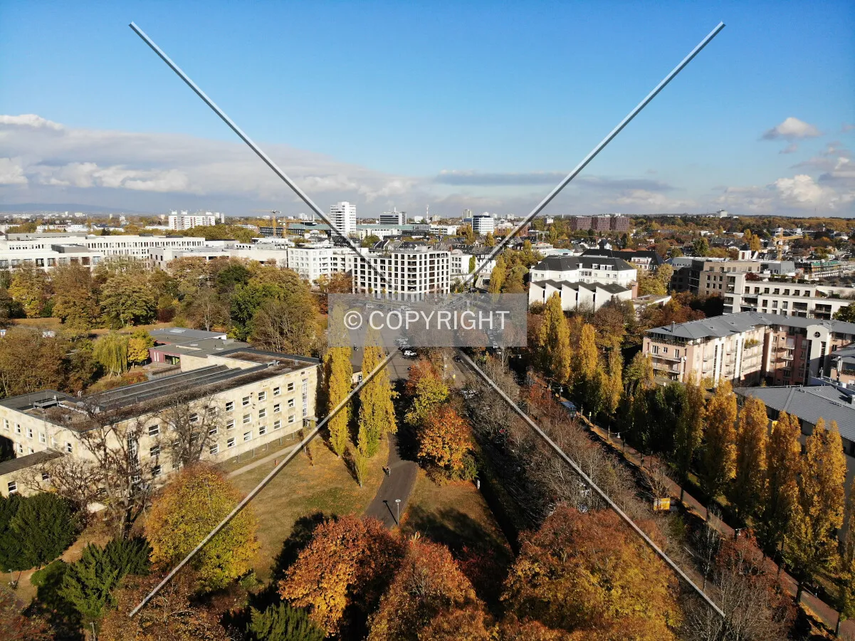 View over Frankfurt Nordend district