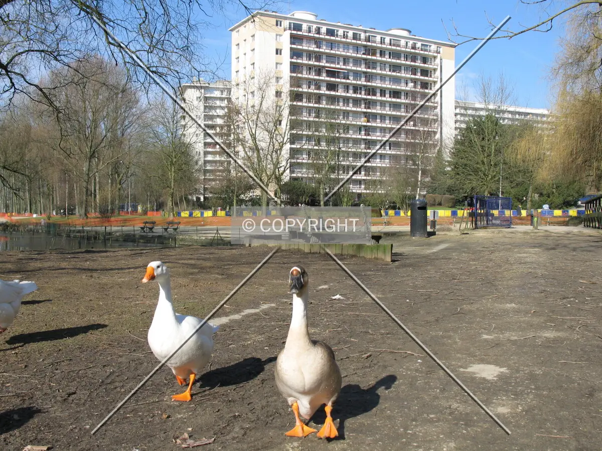 View from Vijverpark