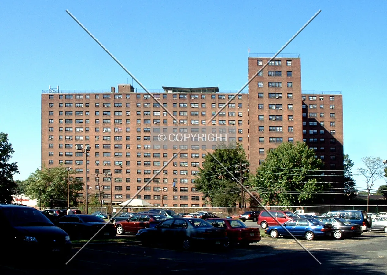 View from the east