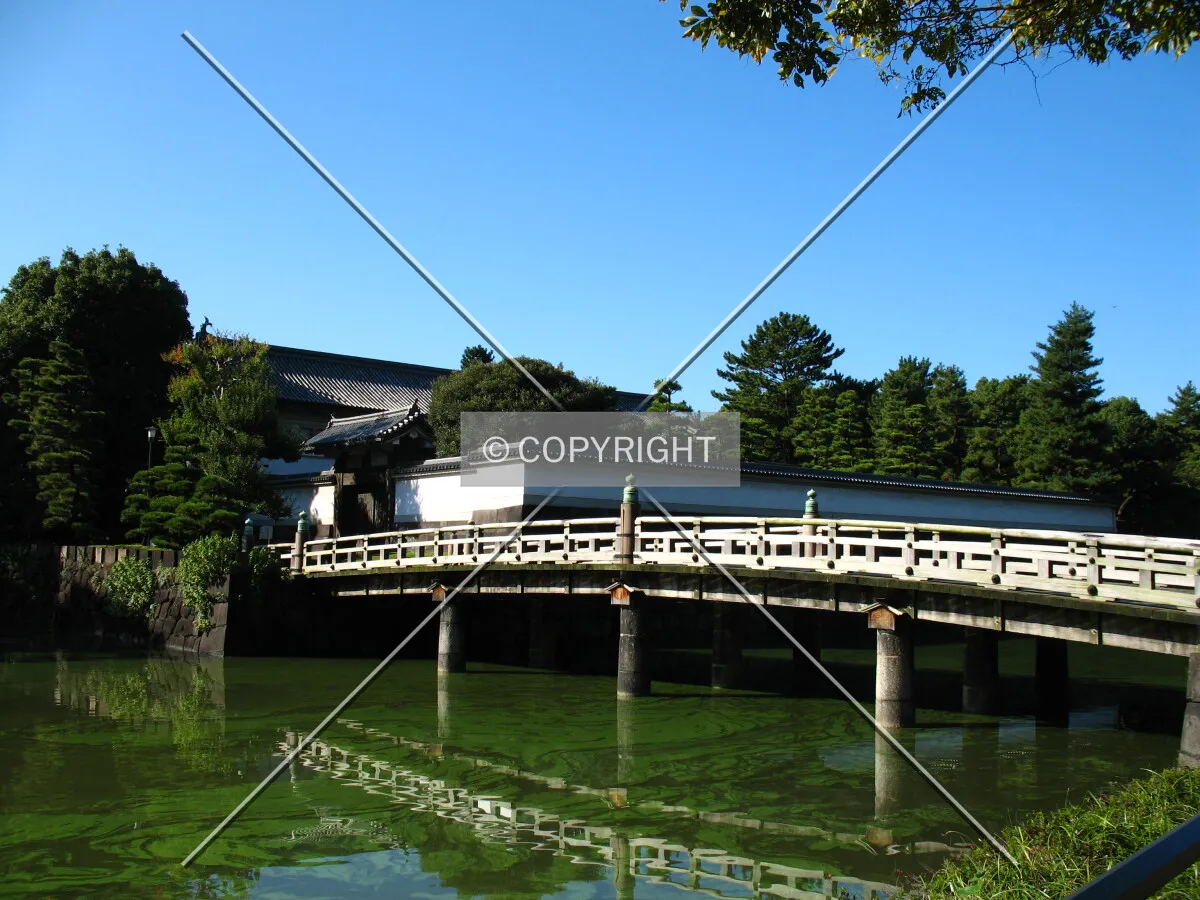 Photo 081-721-767