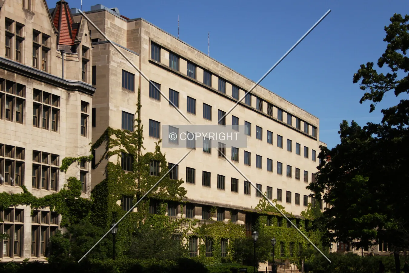 View from the southeast