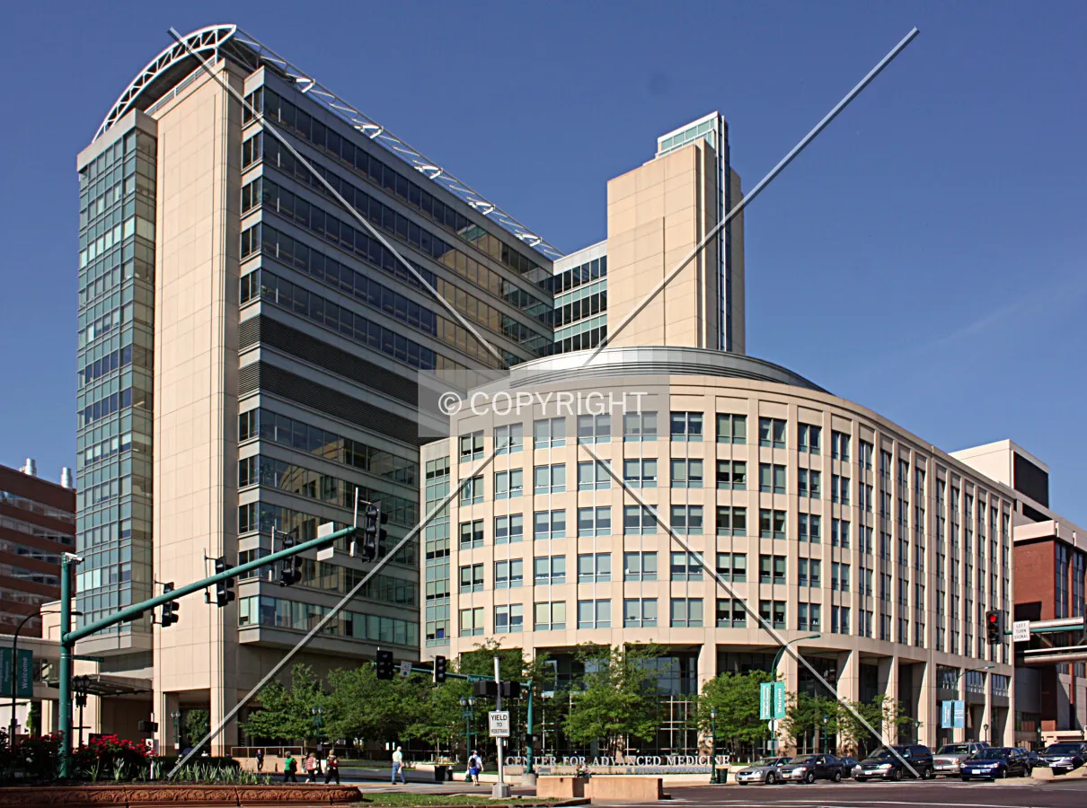 View from the northeast