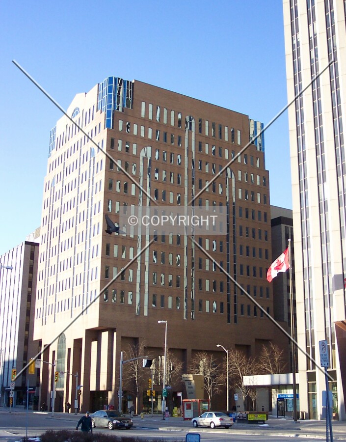 View from Elgin Street, facing south