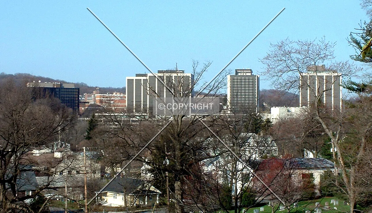 View from the northeast