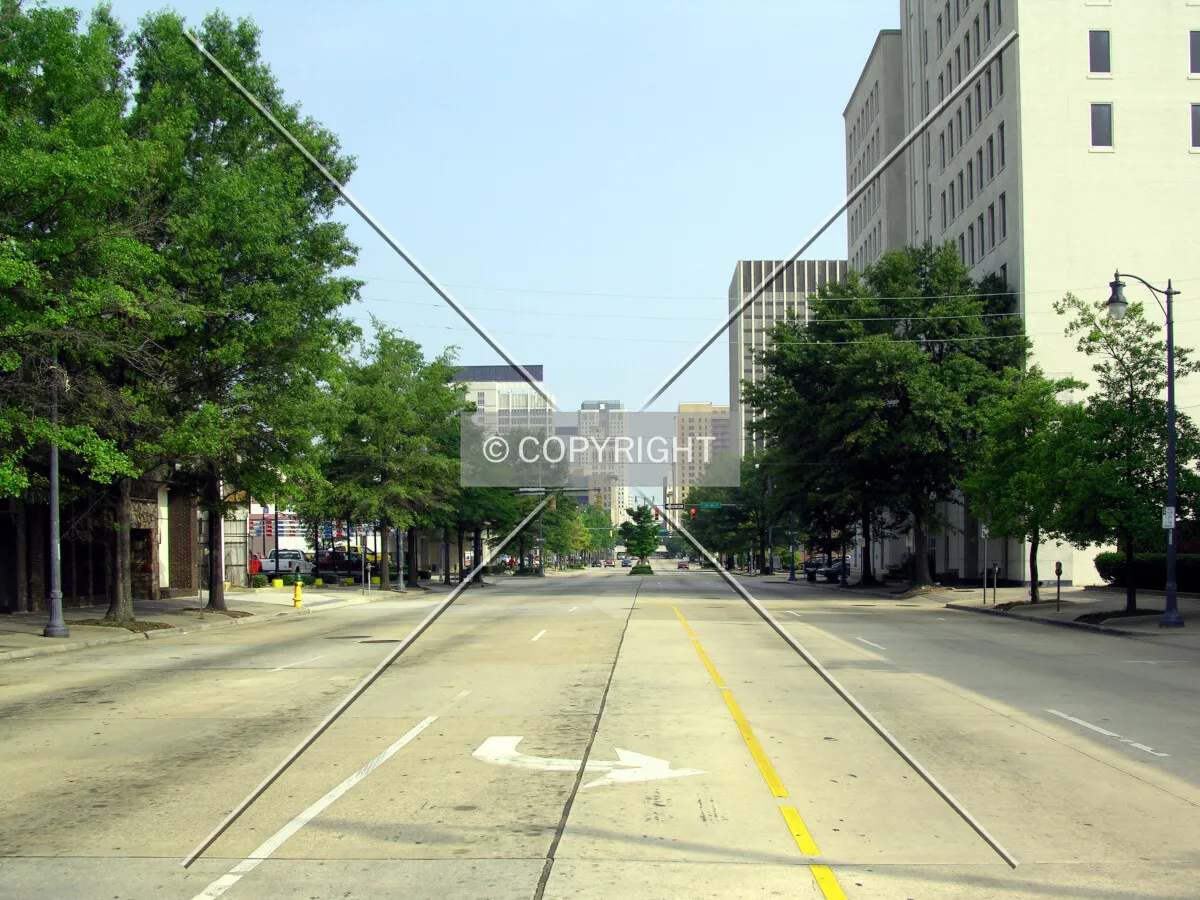 Looking north from 5th Avenue South