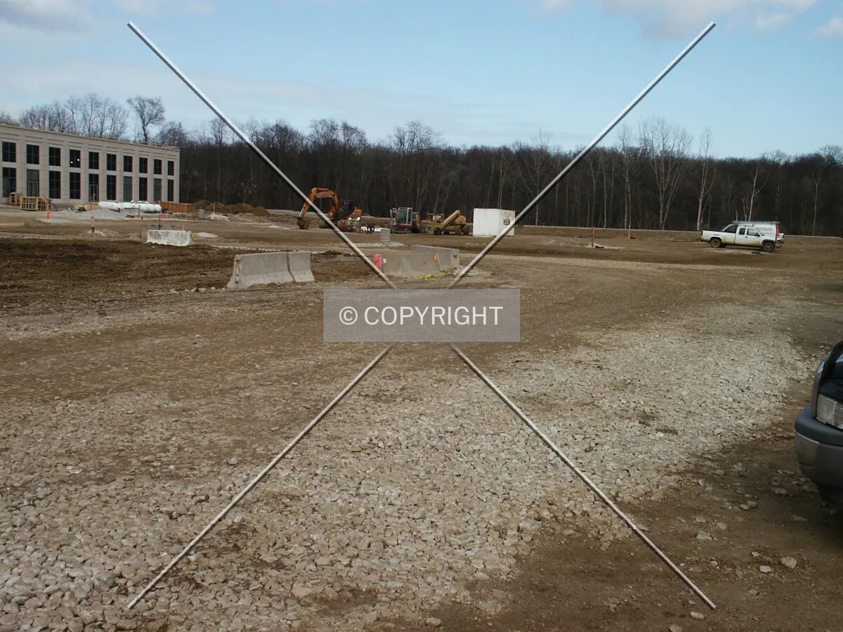 Looking east across the south yard toward the forest preserve